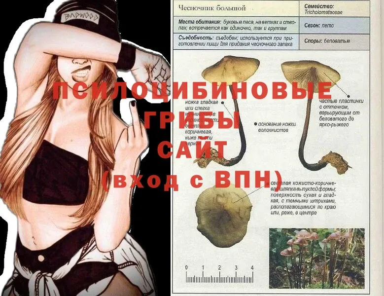 Галлюциногенные грибы Magic Shrooms  Барыш 